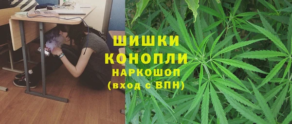 мдпв Козельск