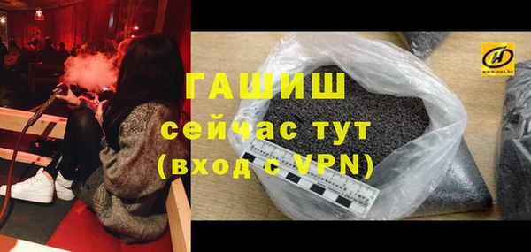 мдпв Козельск