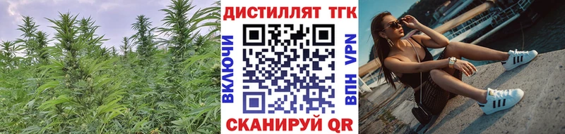 Купить закладки  Долгопрудный  Дистиллят ТГК жижа 